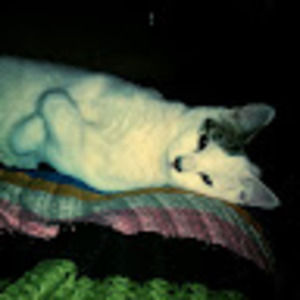 Meet your Posher, Renee